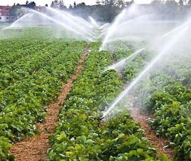 Agriculture-380x320-1